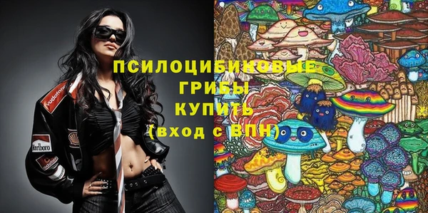 ГАЛЛЮЦИНОГЕННЫЕ ГРИБЫ Семикаракорск