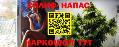 сатива Рязань