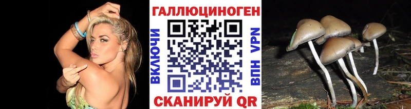 Галлюциногенные грибы Psilocybe  omg онион  Рыбинск  где продают  
